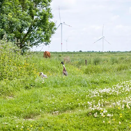 Lejlighed Gaestehaus Ziegler Neuenkirchen (Schleswig-Holstein)