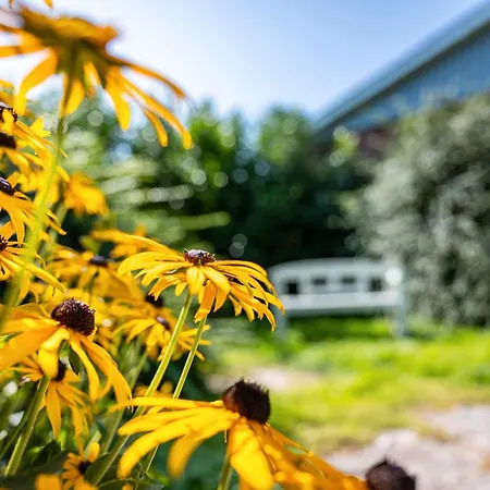 Gaestehaus Ziegler *