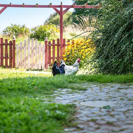 Gaestehaus Ziegler Neuenkirchen (Schleswig-Holstein)